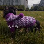 Свитера для собак ручной работы