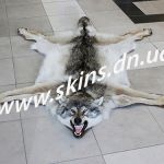 Шкуры, шкура волка, эксклюзивный подарок
