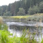 Земля сельхозназначения переславский район